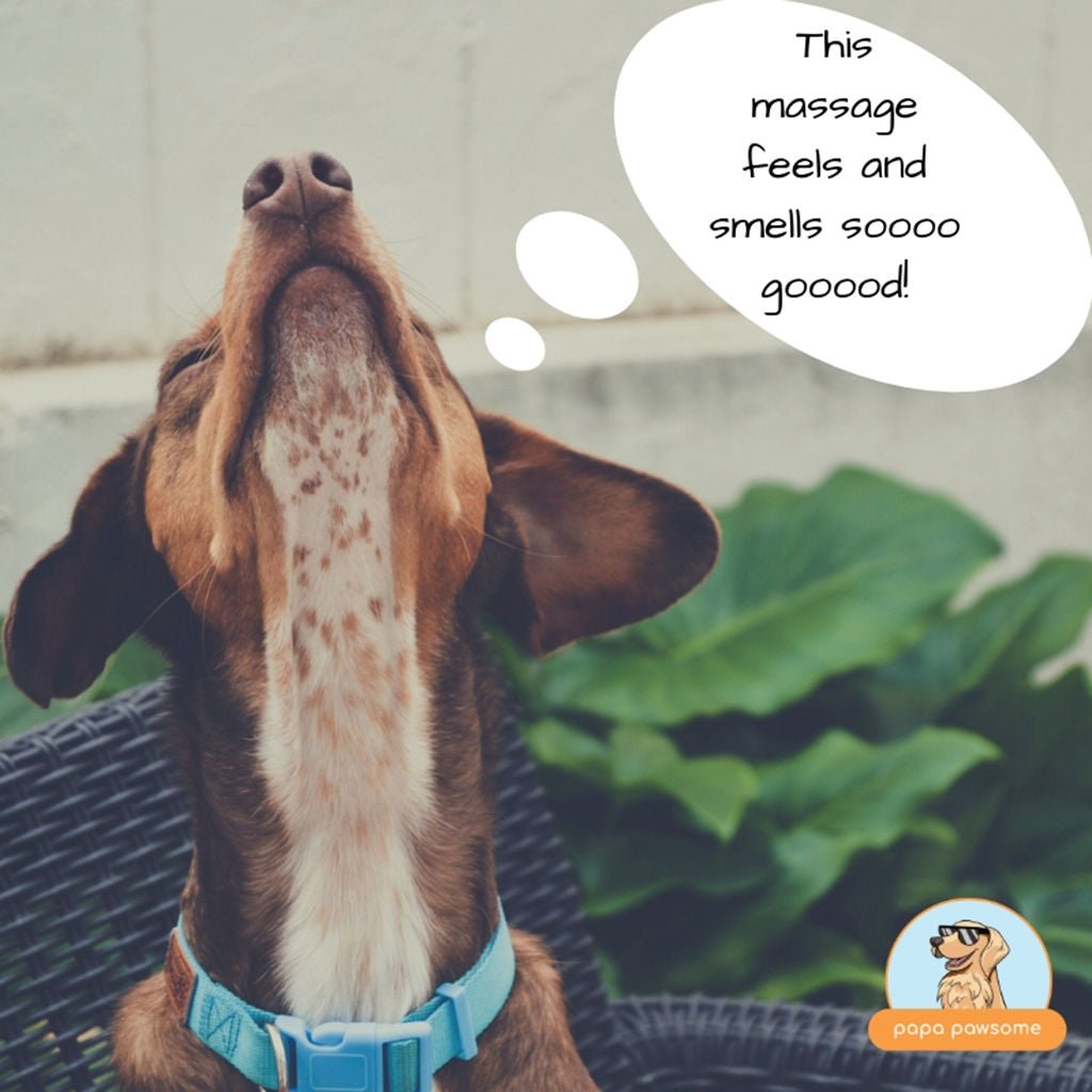 Aromatherapy & Canine Massage Therapy - Papa Pawsome