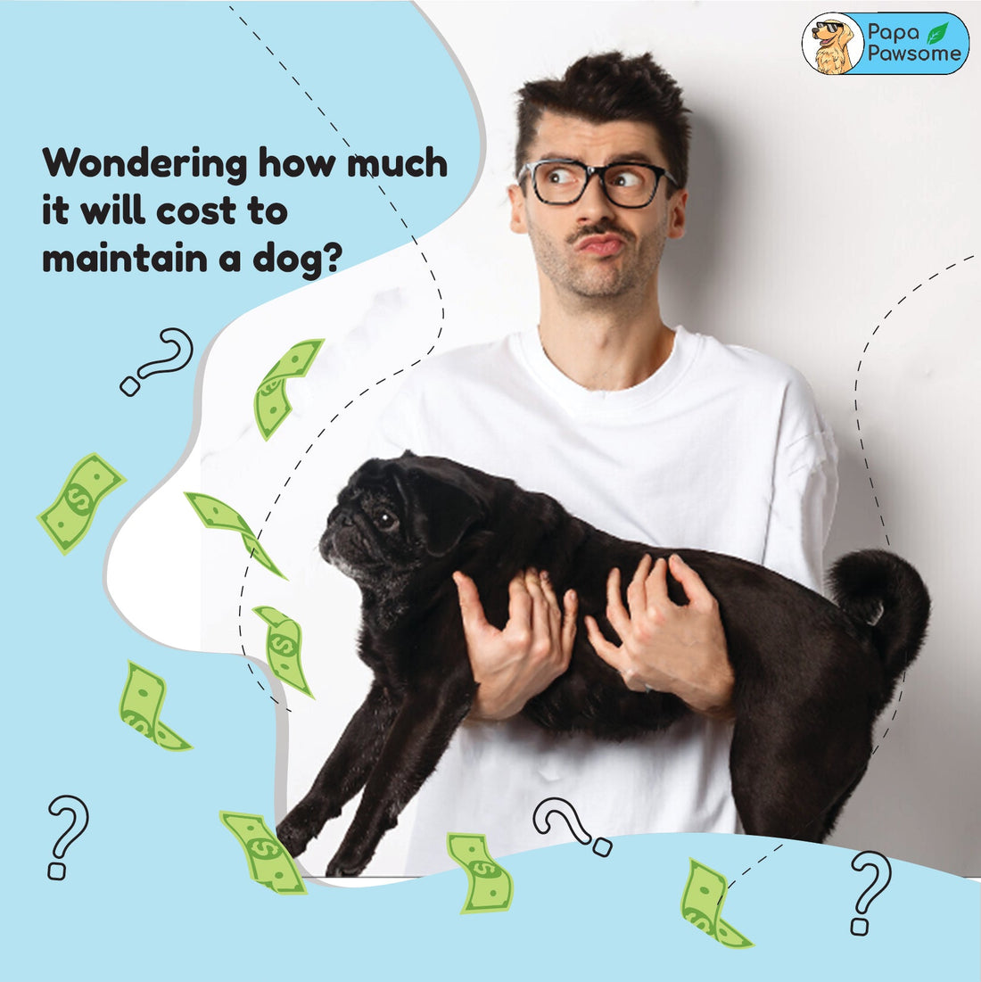 Cost Of Dog Ownership - Papa Pawsome