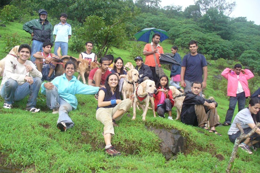 Places you can take your dog during monsoon - Papa Pawsome