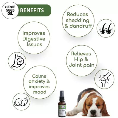 Hemp Seed Oil for Dog, 30 ml (Pack Of 2)