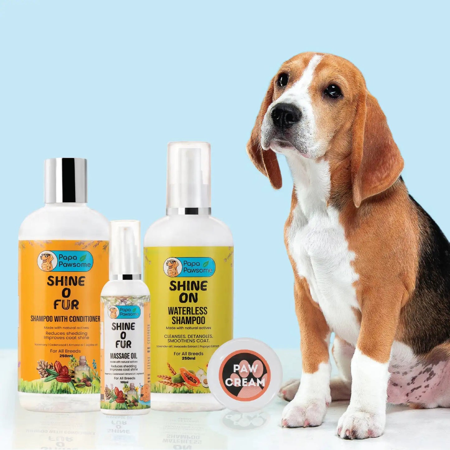 Beagle Complete Grooming kit - Papa Pawsome