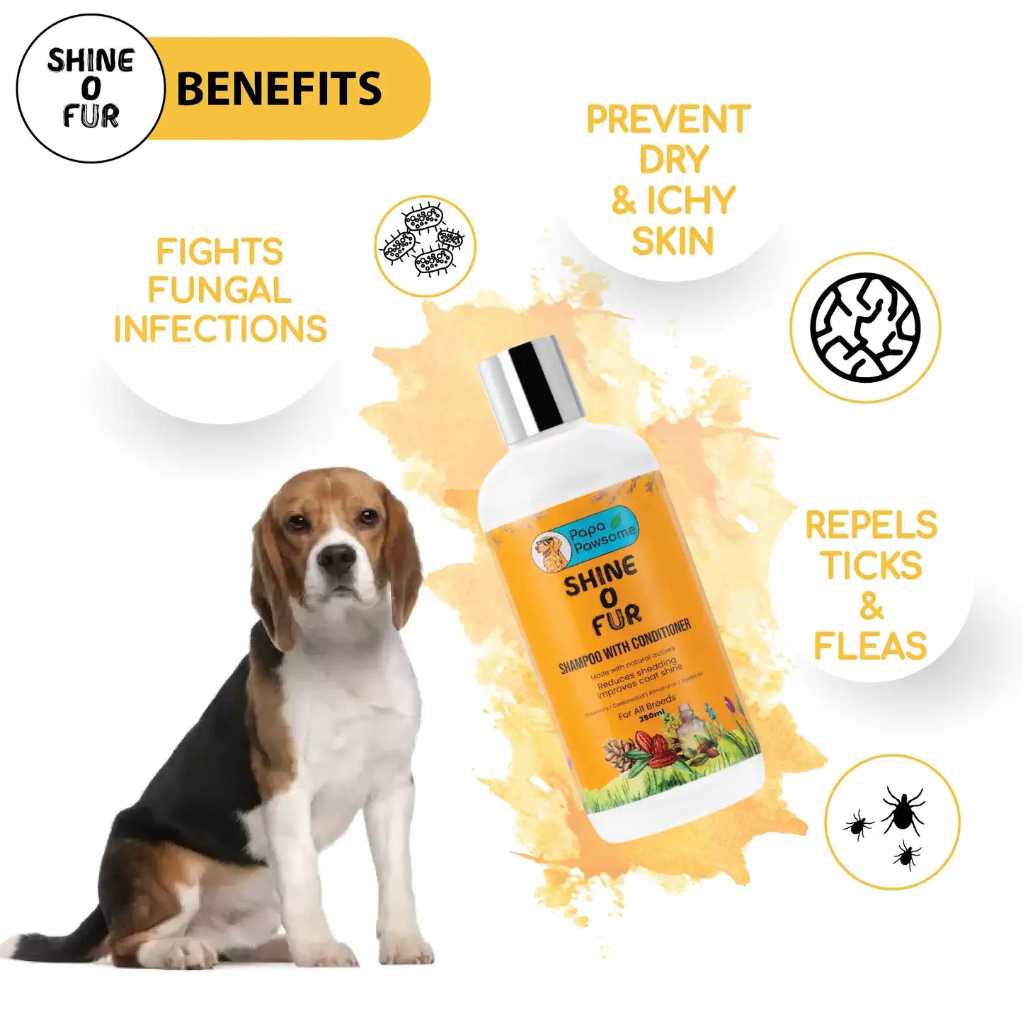 Beagle Complete Grooming kit - Papa Pawsome