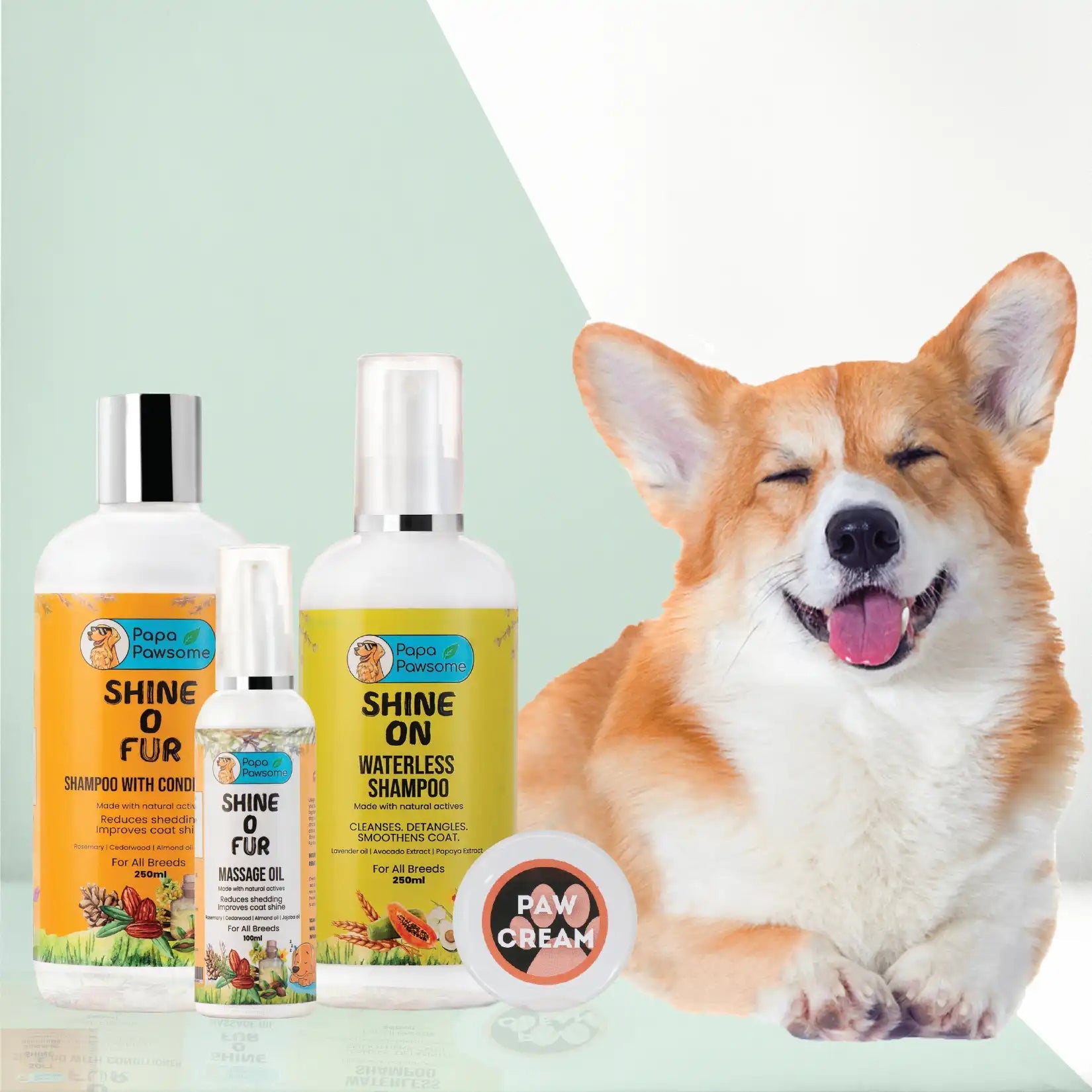 Corgi Complete Grooming kit Papa Pawsome