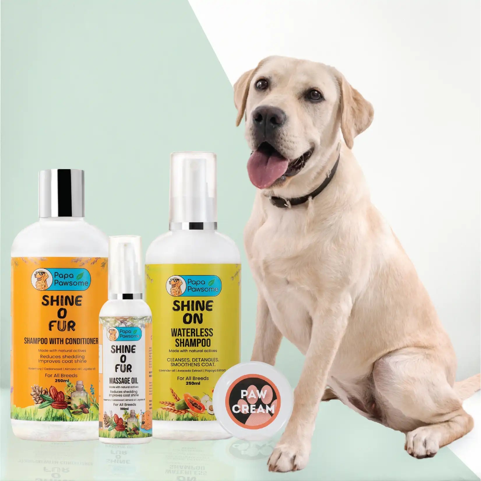Labrador Complete Grooming Kit Papa Pawsome - Main Image