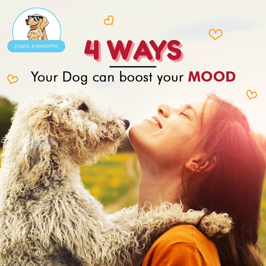 4 ways your dogs can boost your mood - Papa Pawsome