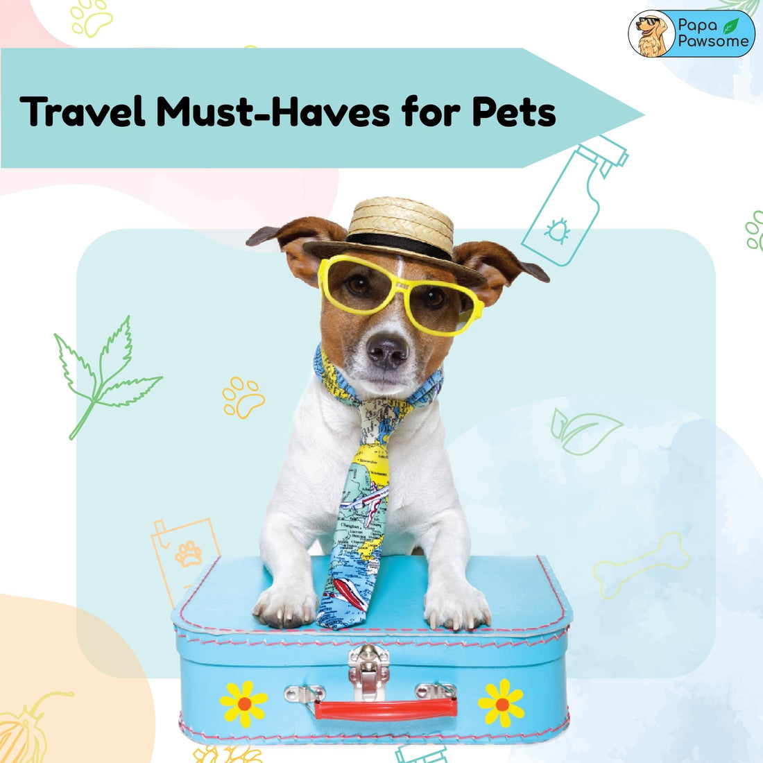 Travel Must Haves for Pets - Papa Pawsome