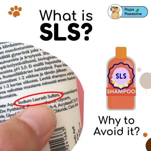 Why SLS-Free Shampoos Lather Less, and Why They’re Better! - Papa Pawsome