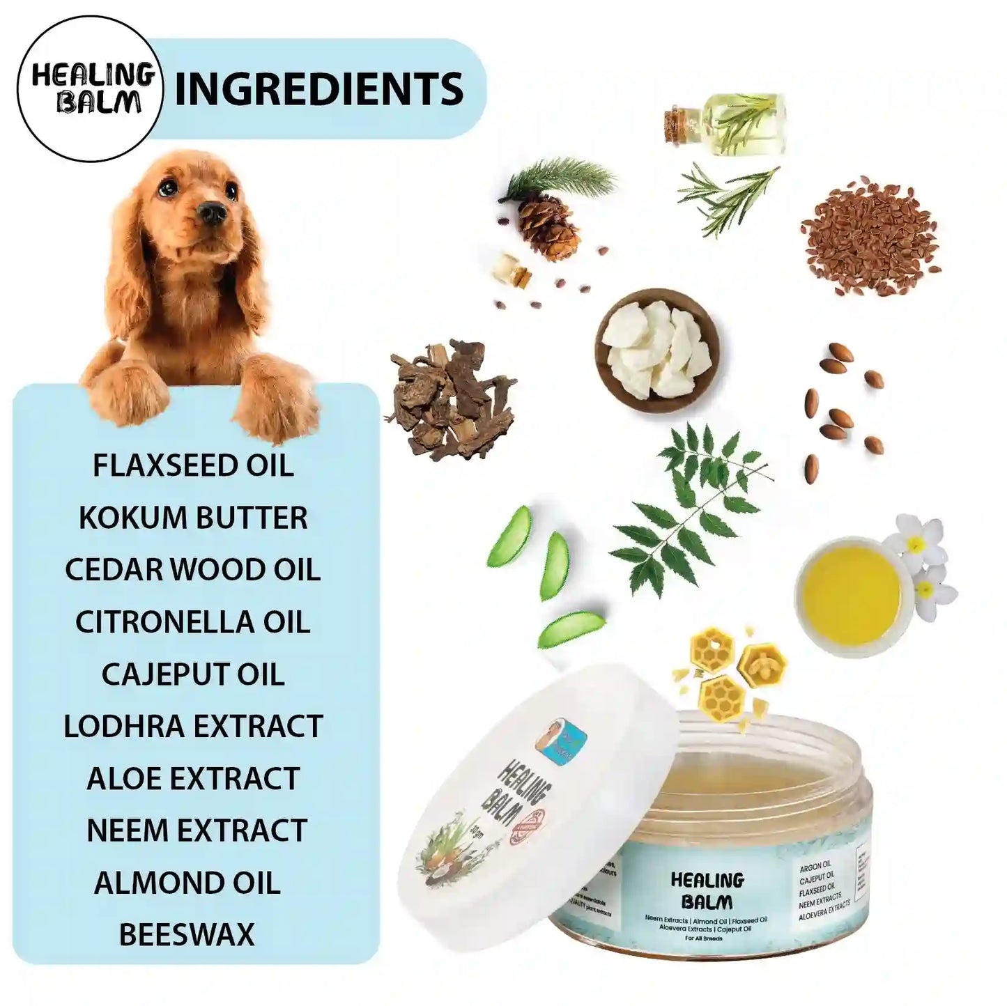 Happy Pet with Healthy Skin After Using Papa Pawsome’s Healing Balm - Relief from Irritation and Dryness