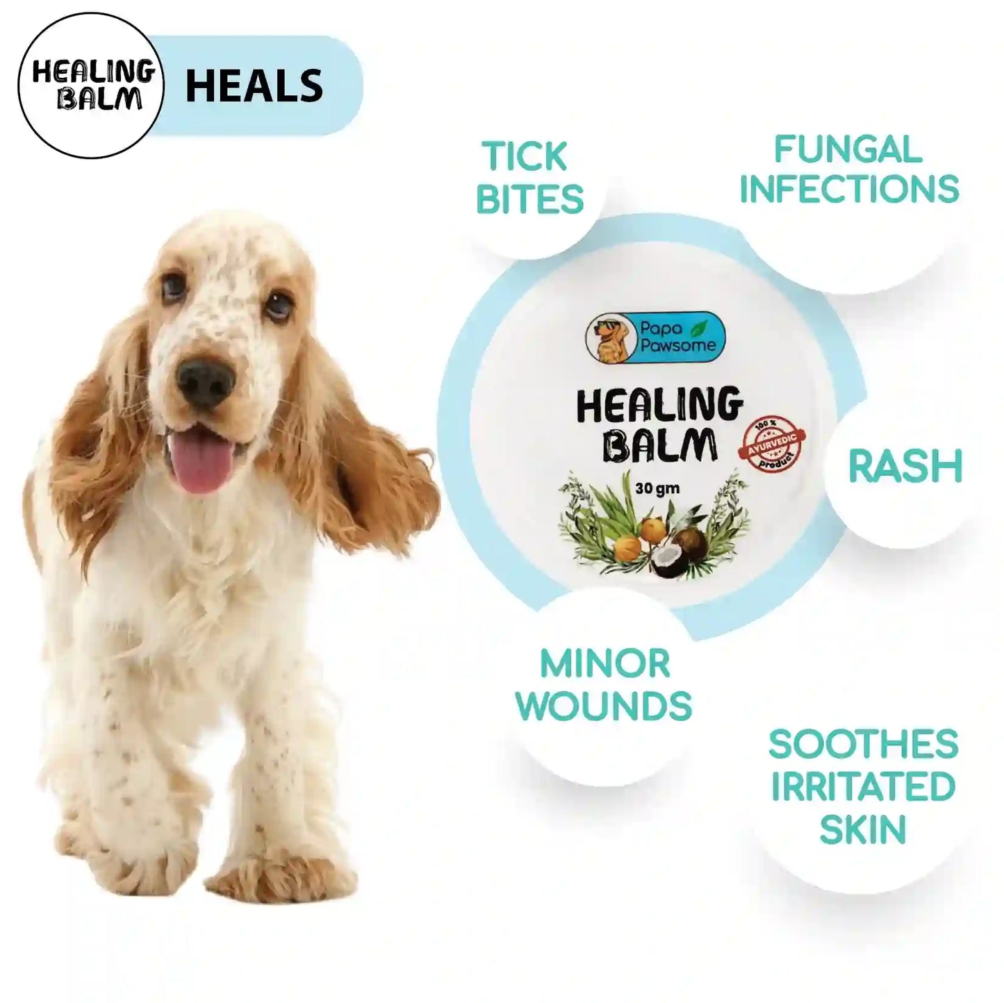 Applying Papa Pawsome’s Healing Balm on Pet's Skin - Soothing Relief for Wounds and Itching
