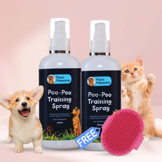 Pee-Poo Toilet Training Spray for Dogs & Cats, 250 ml (Pack of 2) + Free Palm Brush