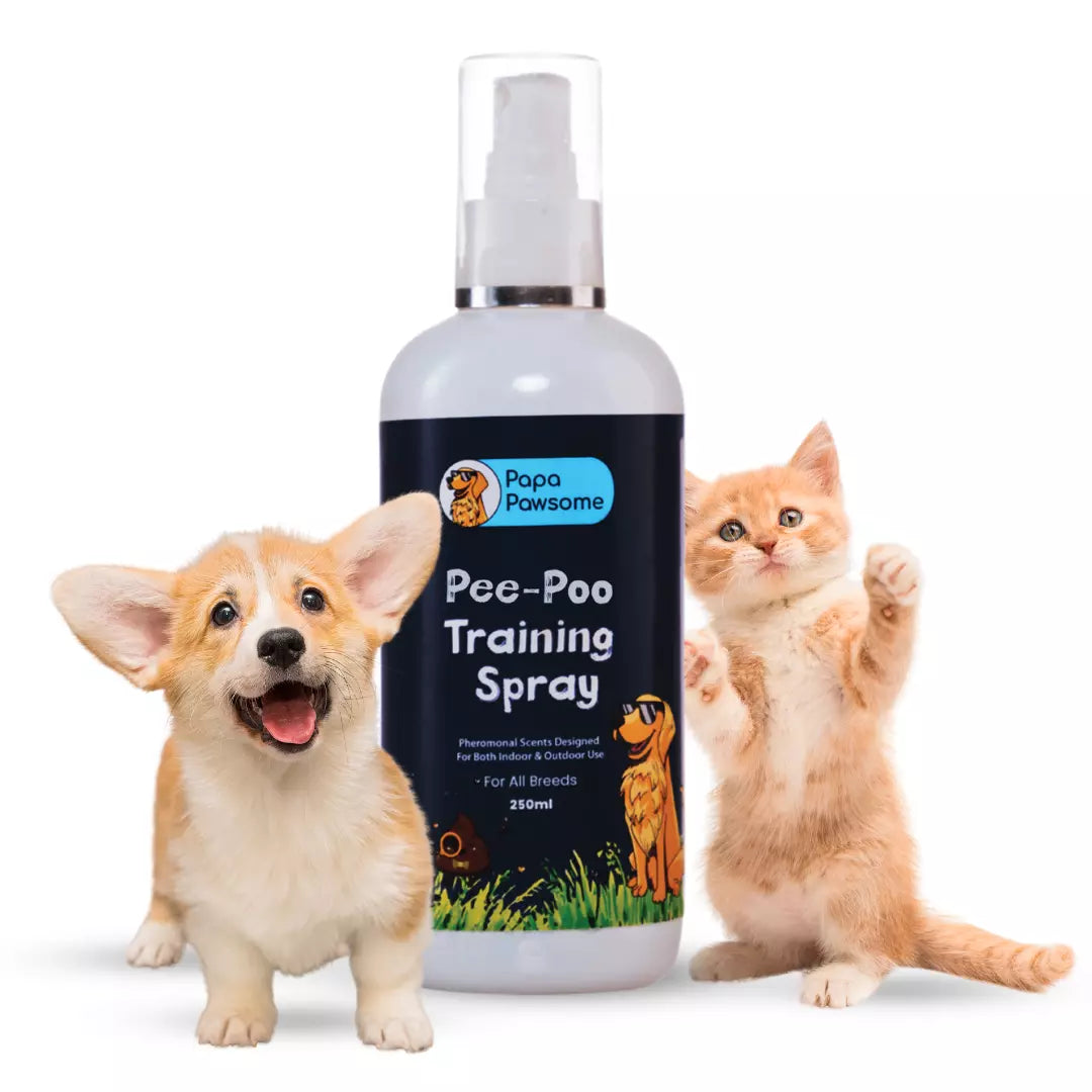 Pee-Poo Toilet Training Spray for Dogs & Cats, 250 ml