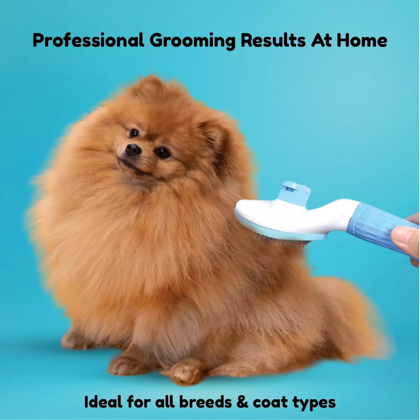 Self Cleaning Slicker Brush for Dogs & Cats - Oval