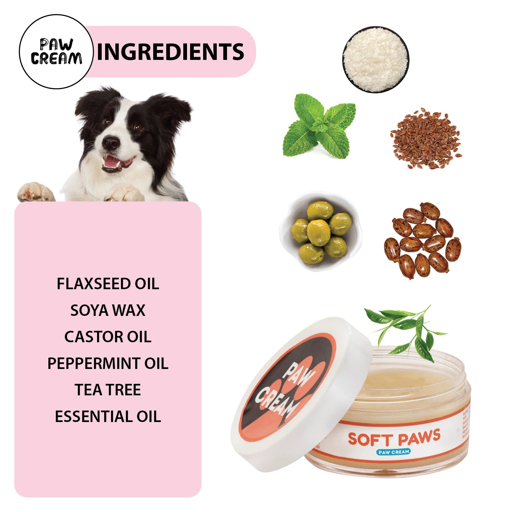Dog top spa products