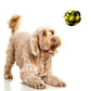 Braided Rope Ball Toy - Worth Rs.150 - Papa Pawsome