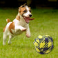 Braided Rope Ball Toy - Worth Rs.150 - Papa Pawsome