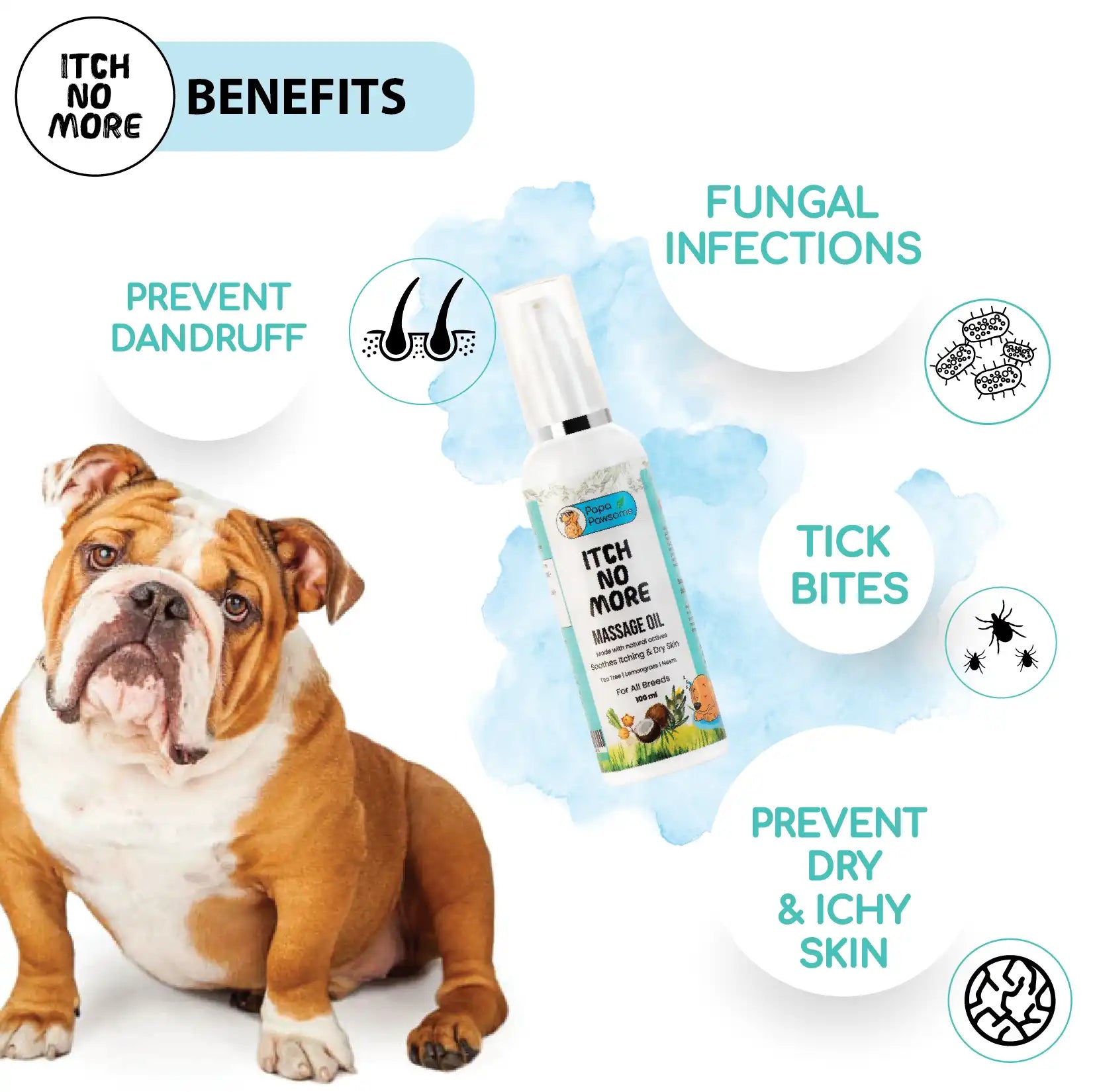 Bulldog Complete Grooming kit - Papa Pawsome