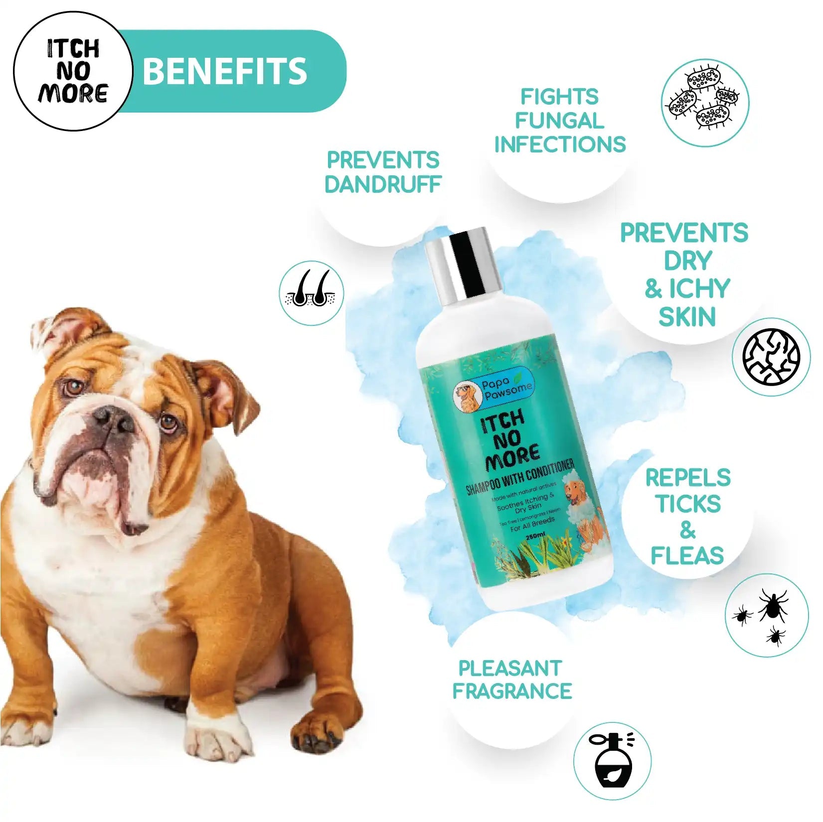 Bulldog Complete Grooming kit Papa Pawsome