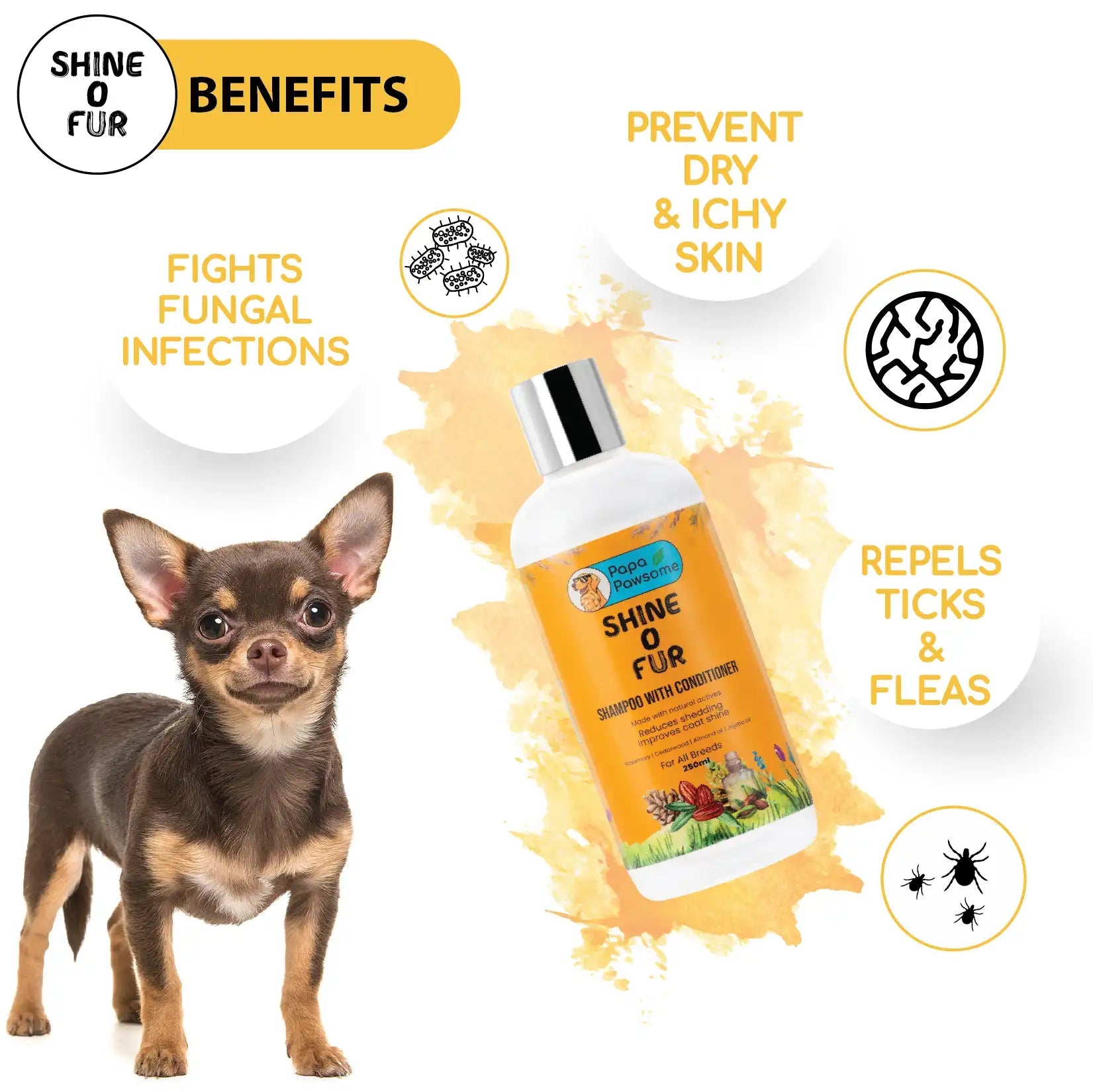 Chihuahua Complete Grooming kit - Papa Pawsome