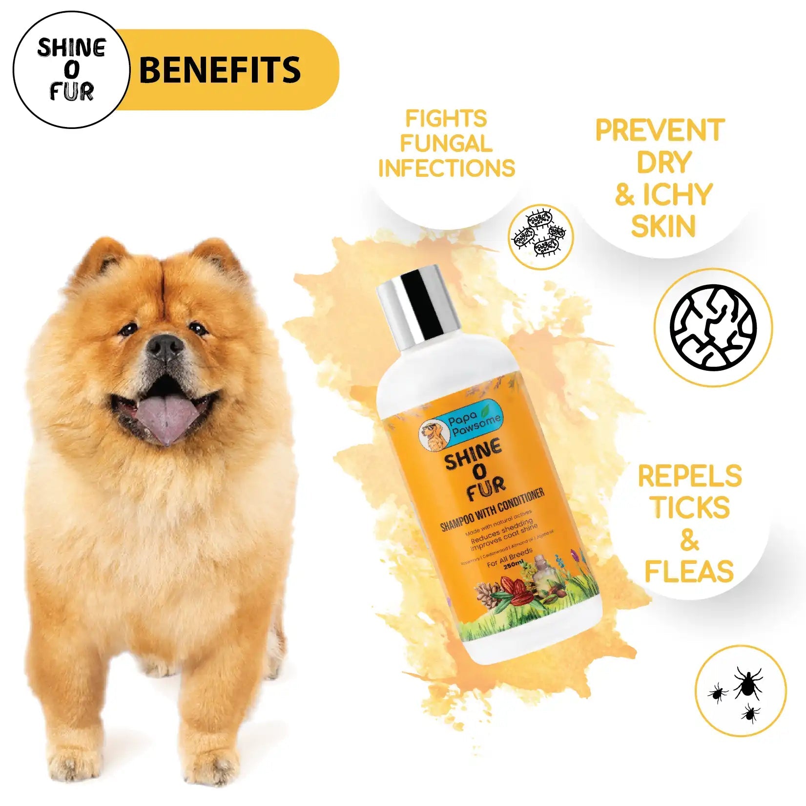 Chow chow grooming tools outlet