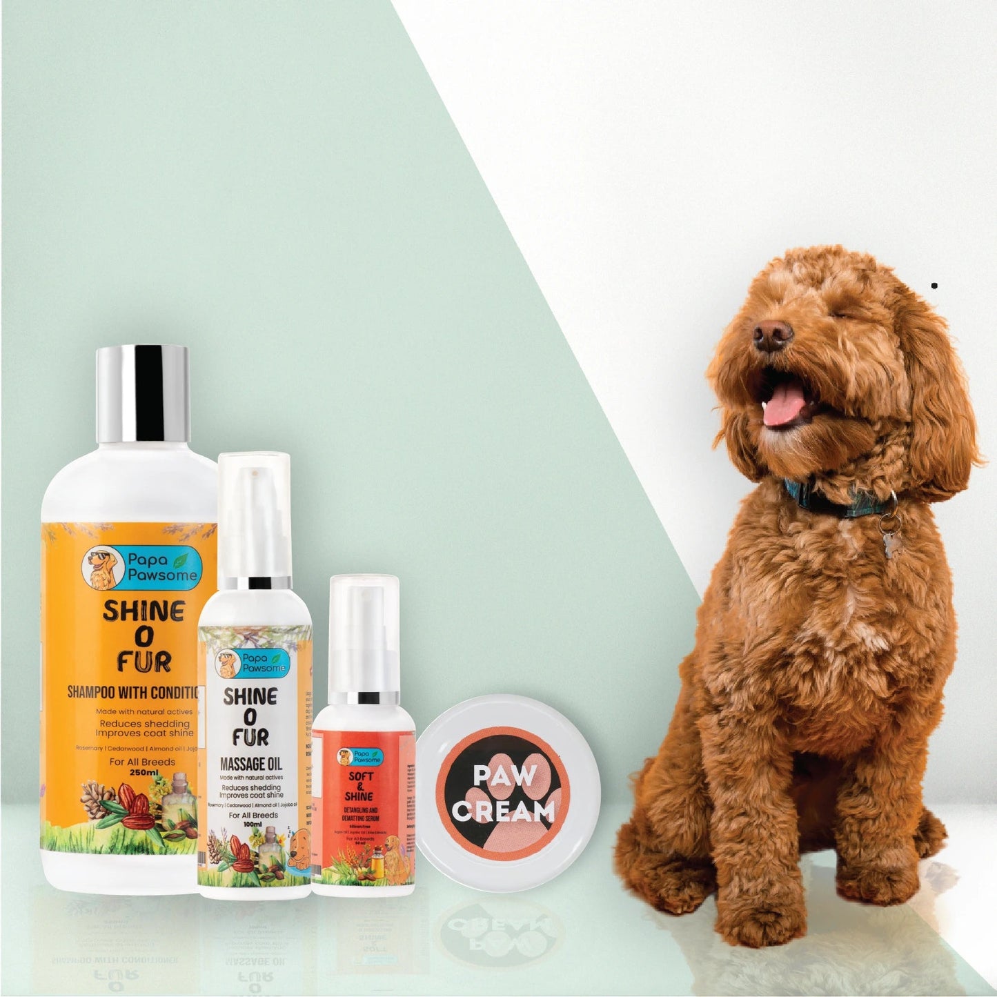 Complete Coat Care Kit - Papa Pawsome