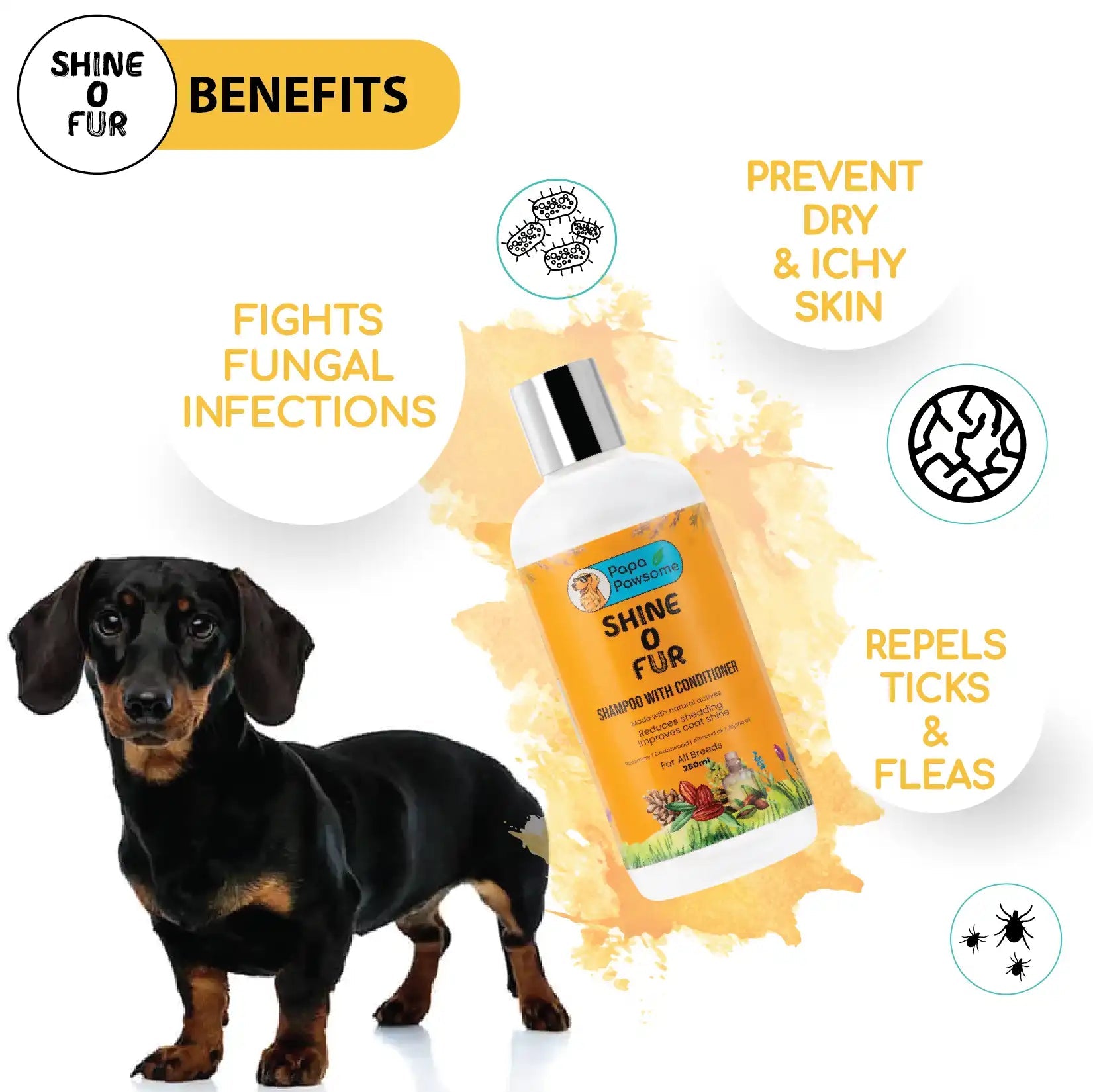 Dachshund Complete Grooming kit - Papa Pawsome