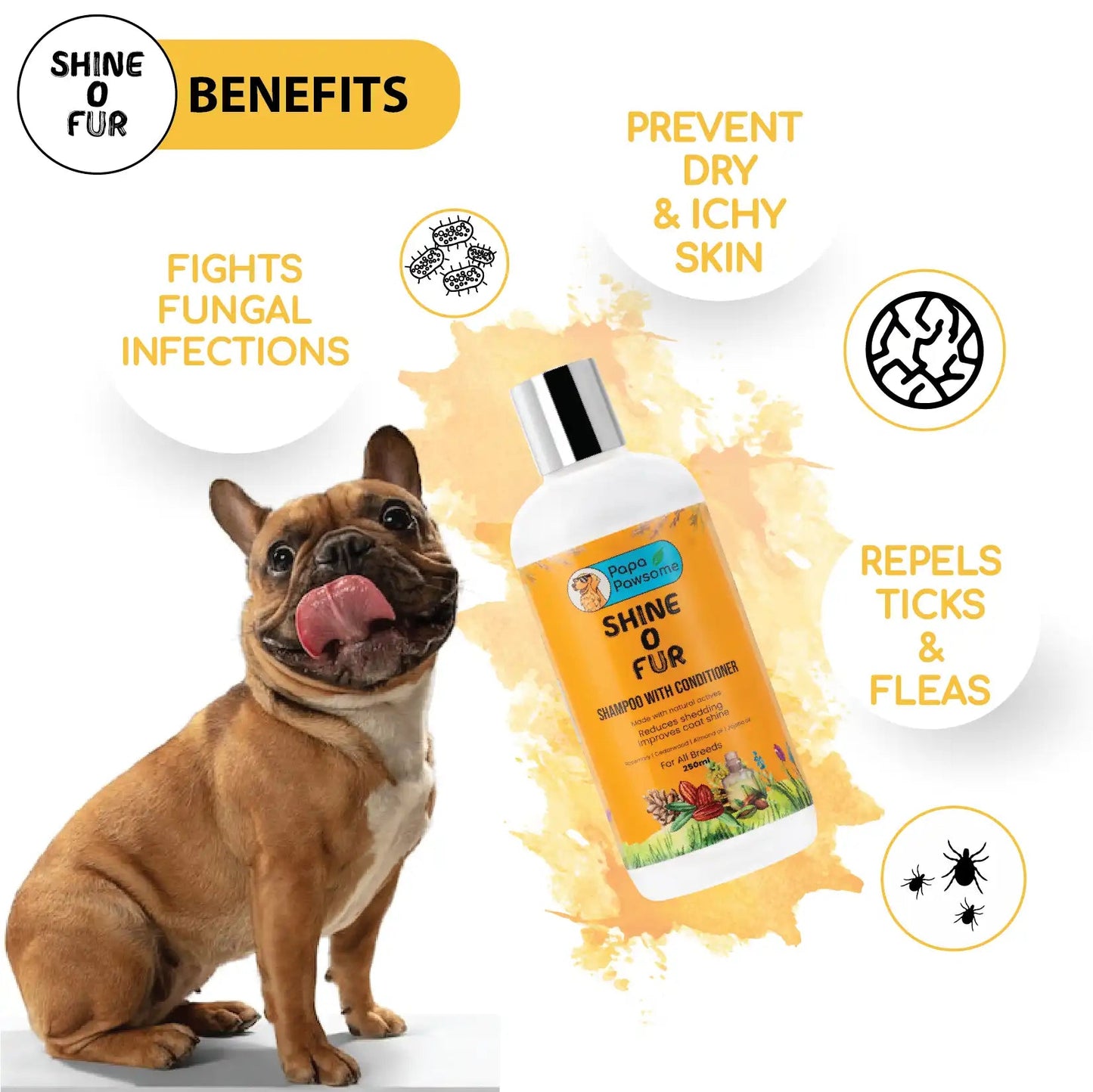 French Bulldog Complete Grooming kit - Papa Pawsome