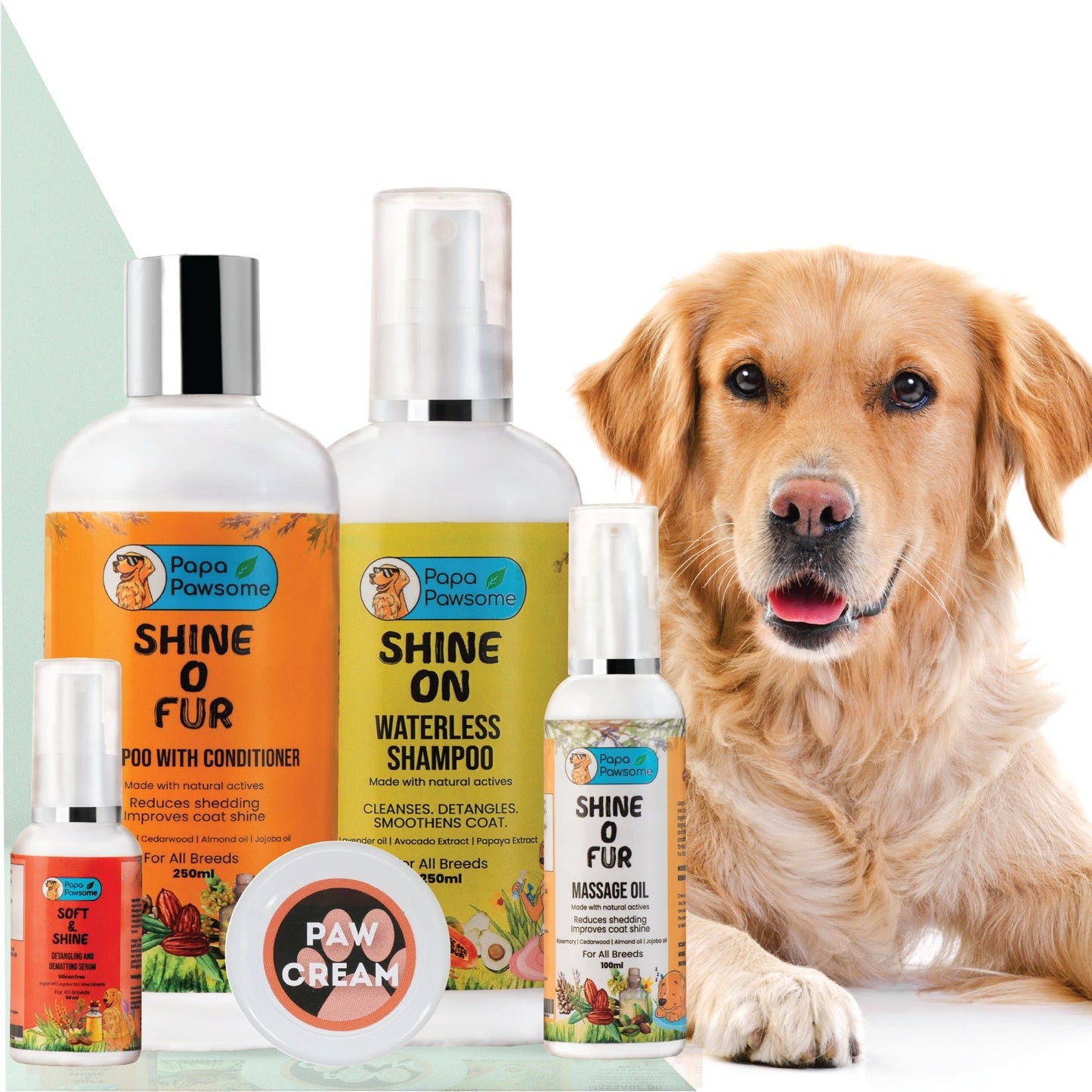 Golden retriever grooming shop tools