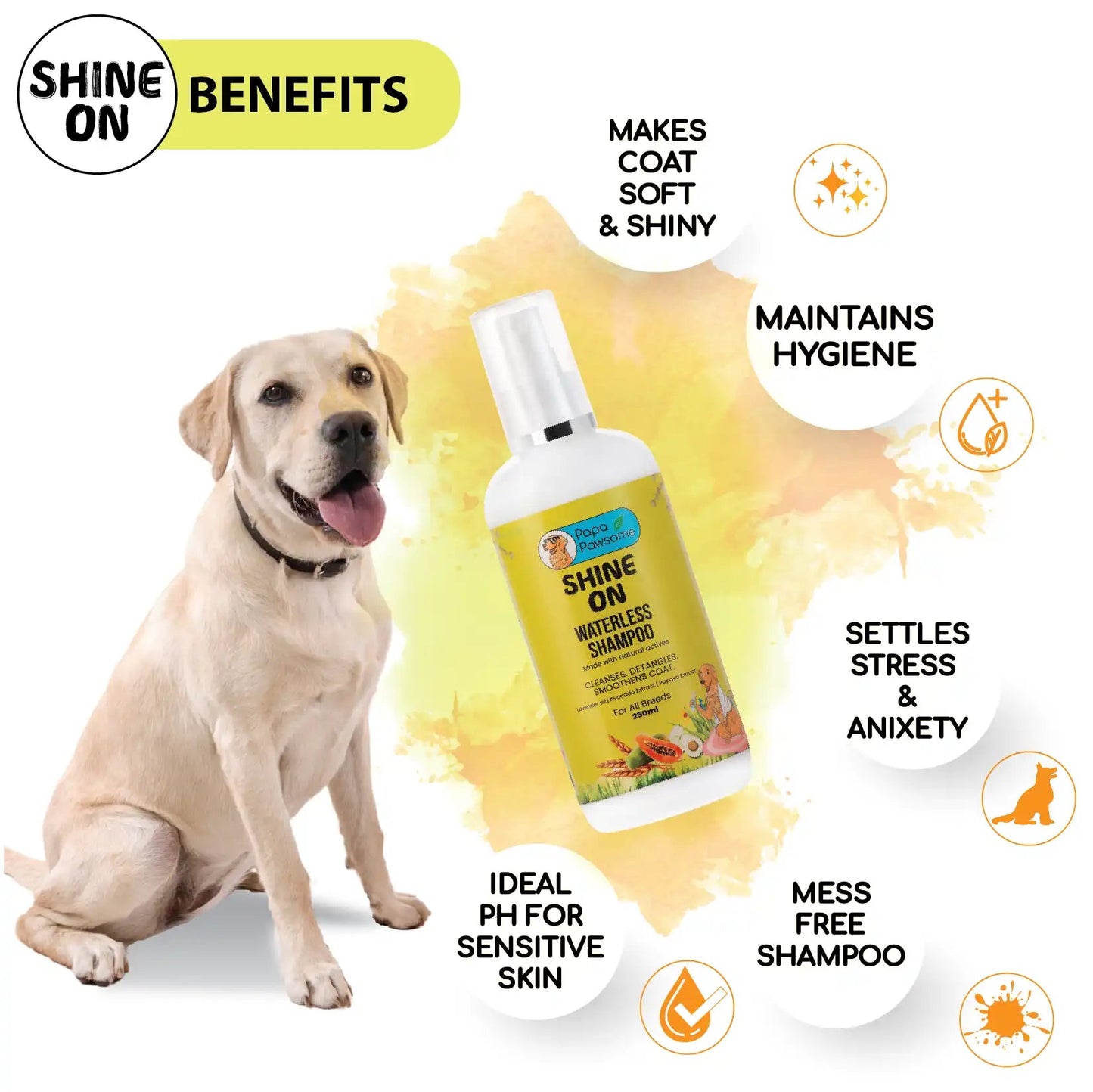 Labrador grooming kit online