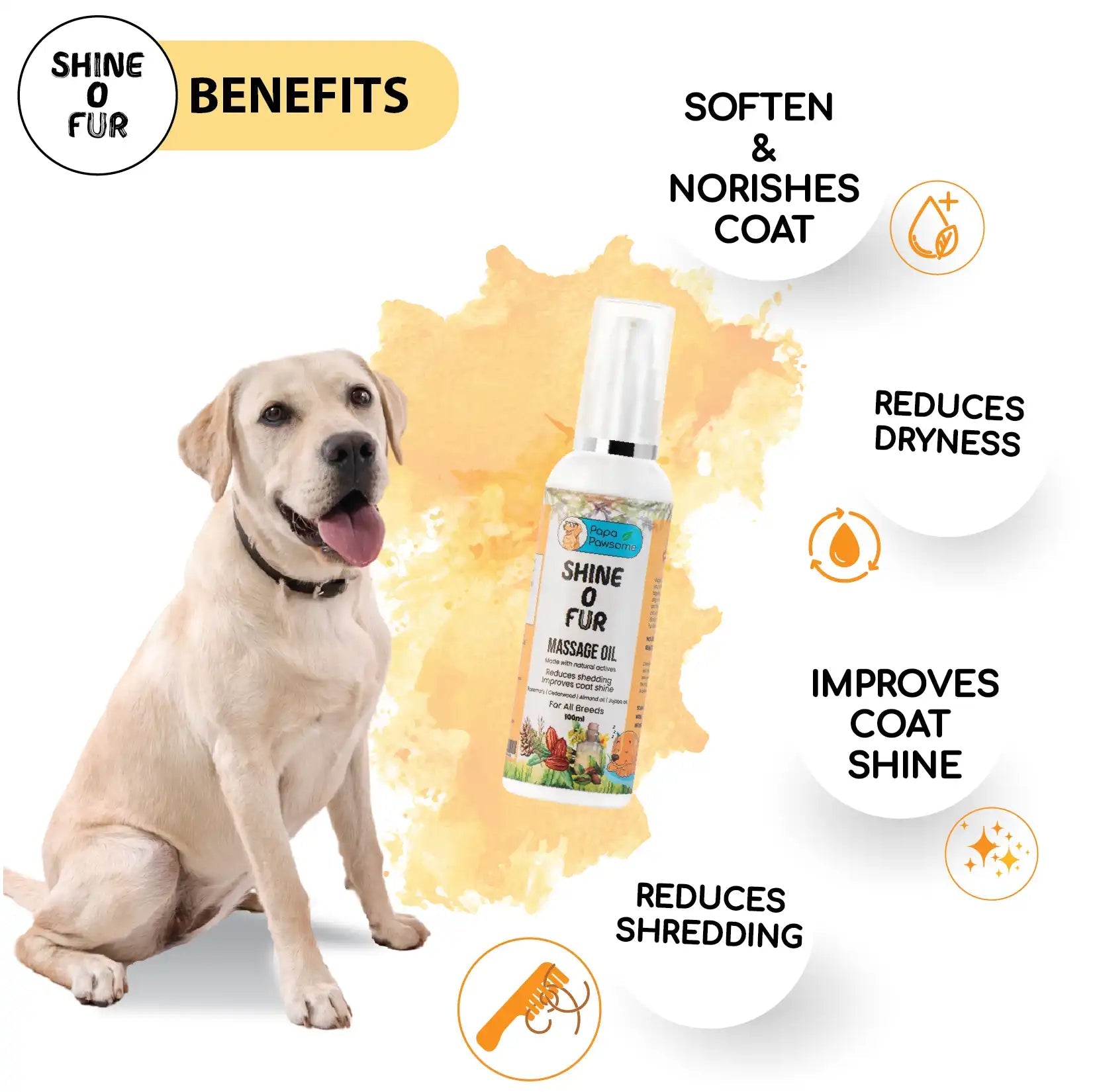 Labrador grooming deals kit