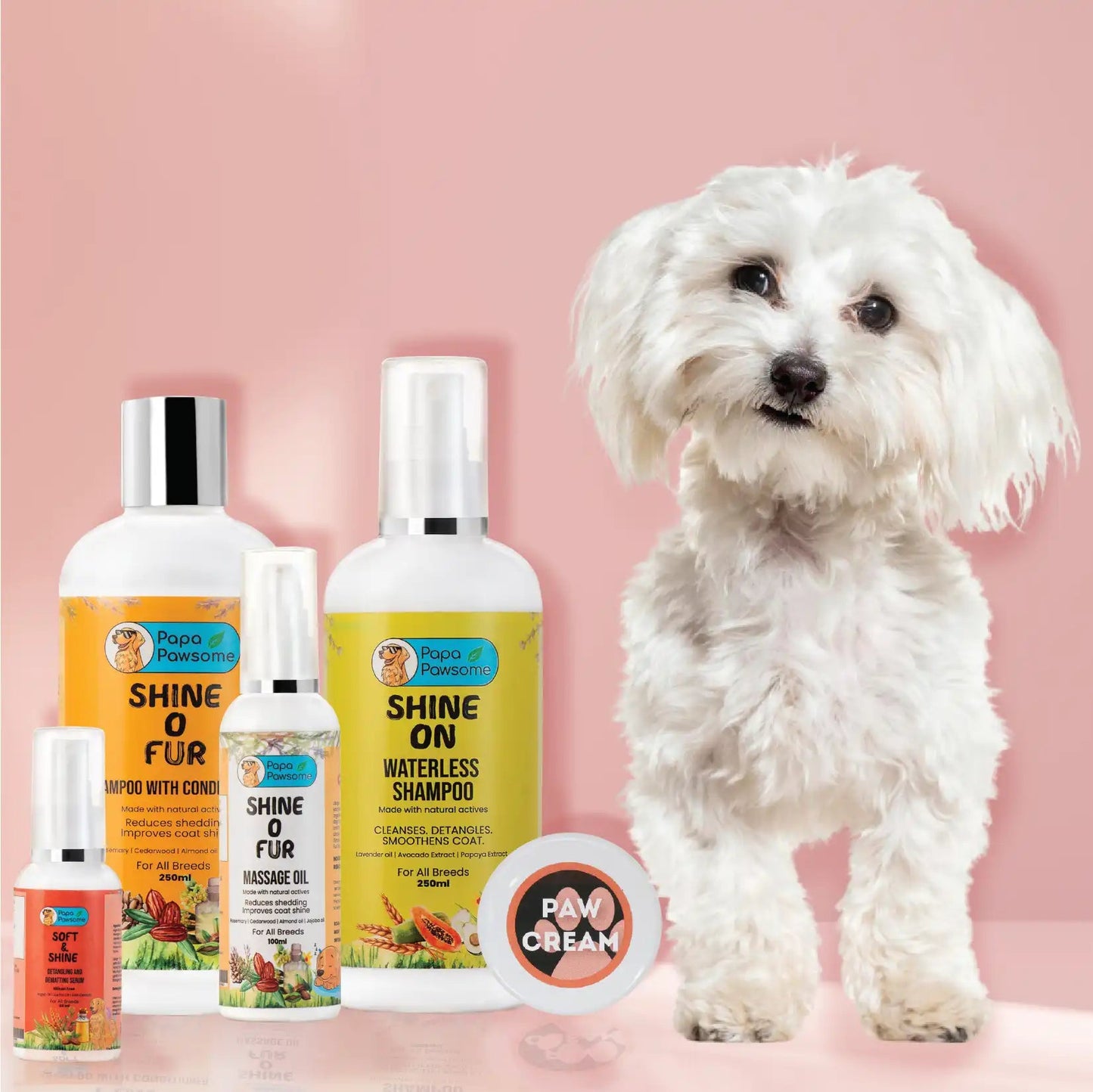Maltese by best sale kit