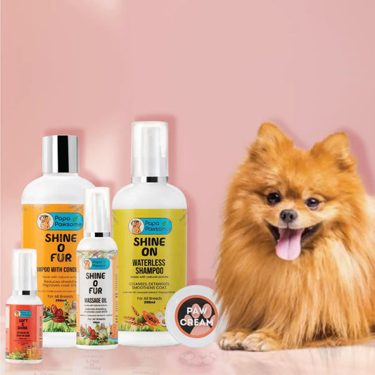 Pomeranian Complete Grooming kit - Papa Pawsome