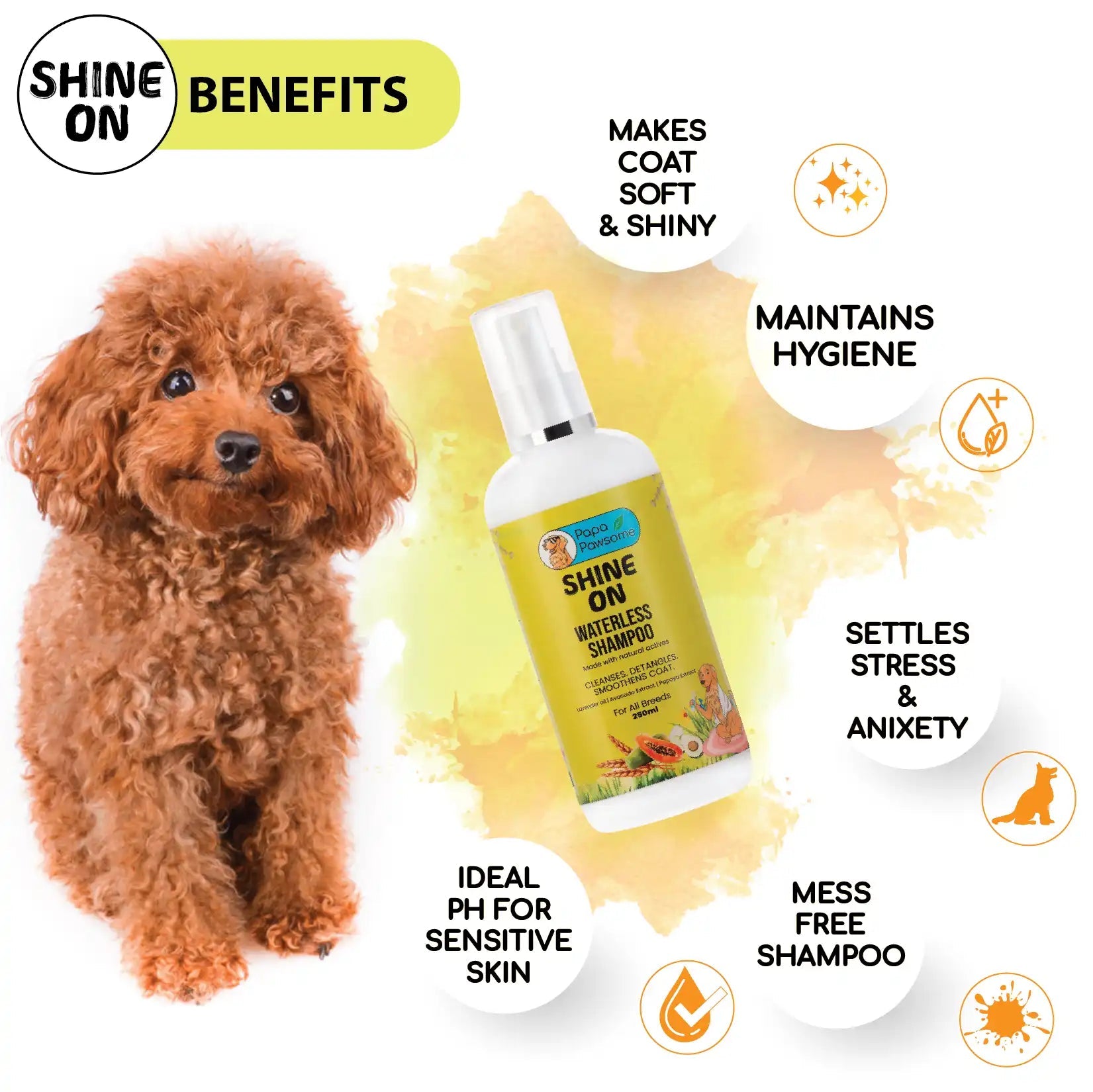 Poodle Complete Grooming kit - Papa Pawsome