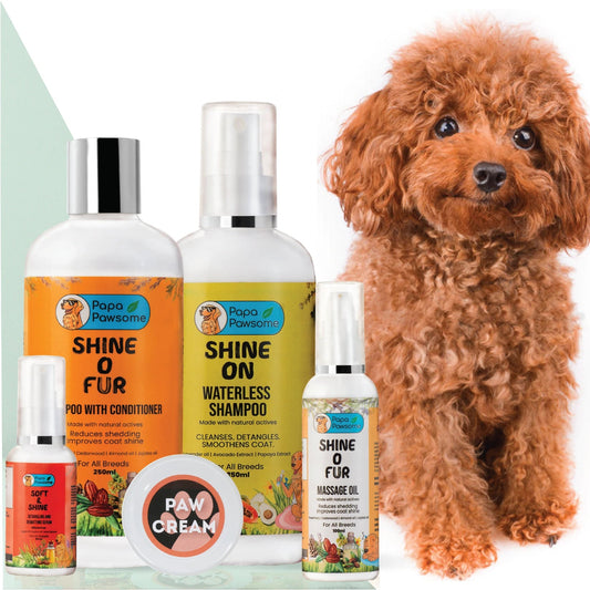 Poodle Complete Grooming kit - Papa Pawsome