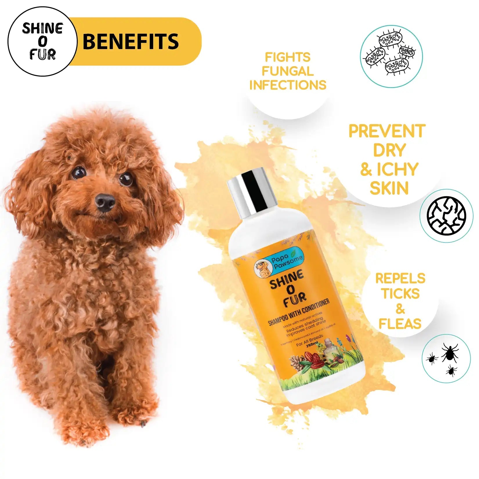 Poodle Complete Grooming kit - Papa Pawsome