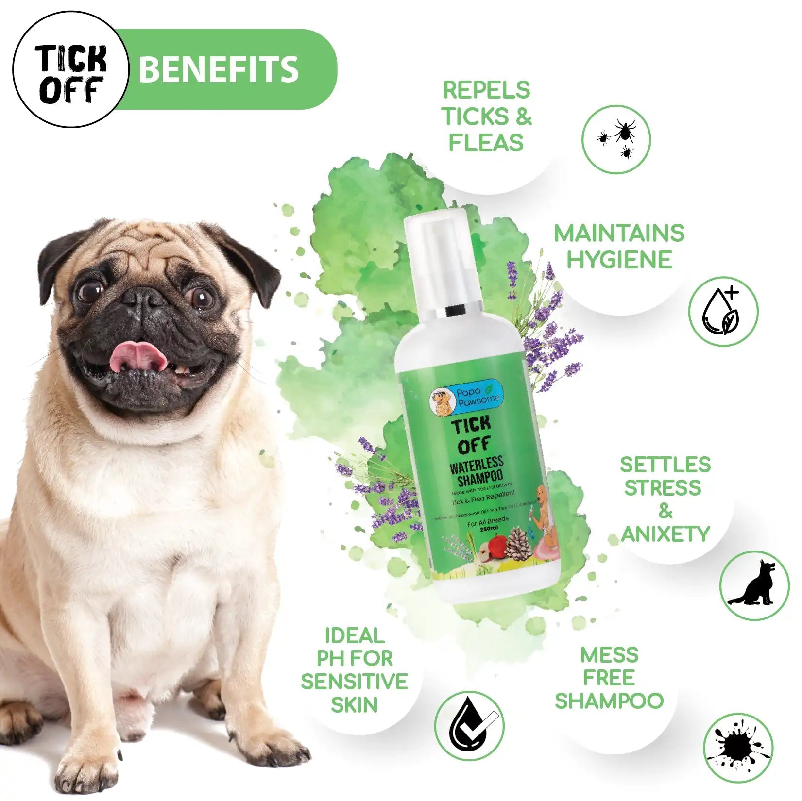 Pug supplies online