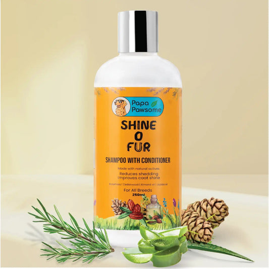 shampoo bottle with Jojoba Oil, Argan Oil, Aloe Vera Extract, Rosemary Essential Oil, and Cedarwood Essential Oil.