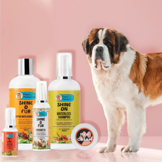 St. Bernard Complete Grooming kit - Papa Pawsome