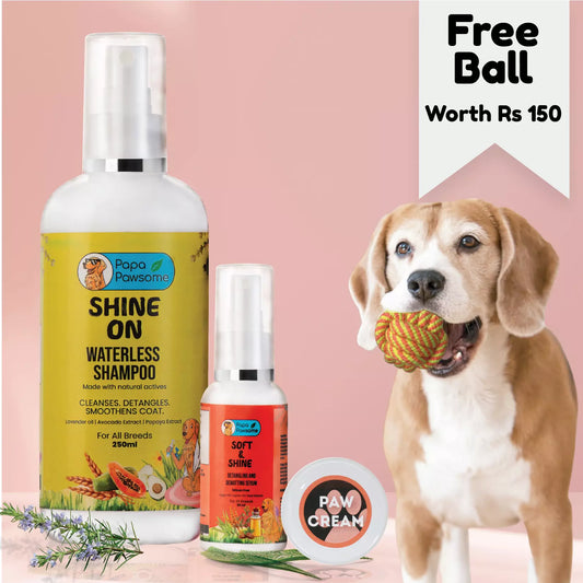 Shiny Softness Combo + Free Ball Worth Rs.150