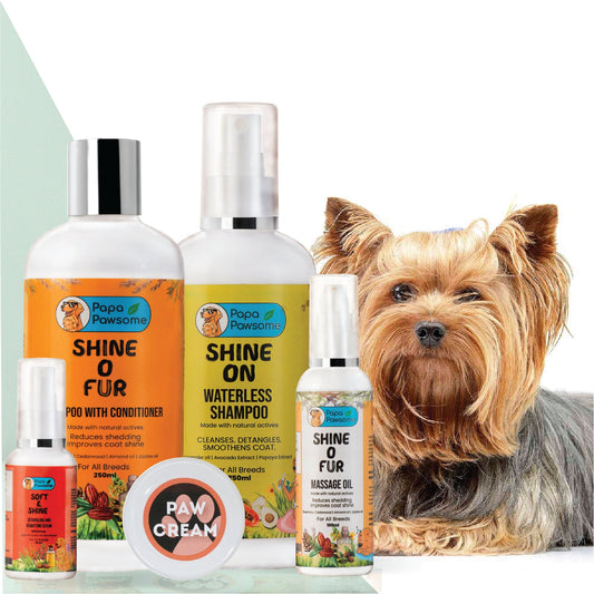 Yorkshire Terrier Complete Grooming kit - Papa Pawsome